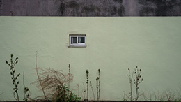 ���Ȃ��R�����Ă���