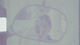 シングル8・コマ日記