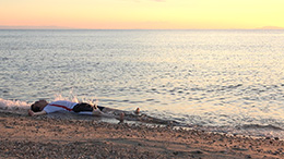 アンチ アンティゴネー