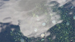 三里塚　シャドー