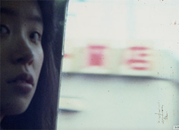 ヒメムカシヨモギ